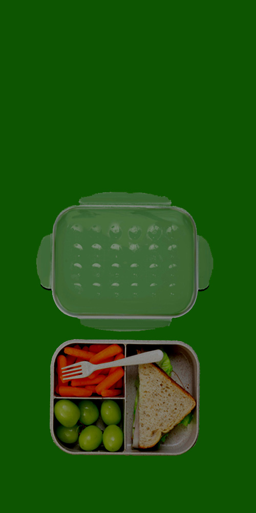 list item image